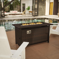 45"x 25" Propane Gas Fire Pit Table with Stainless Steel Tabletop-Espresso/Black