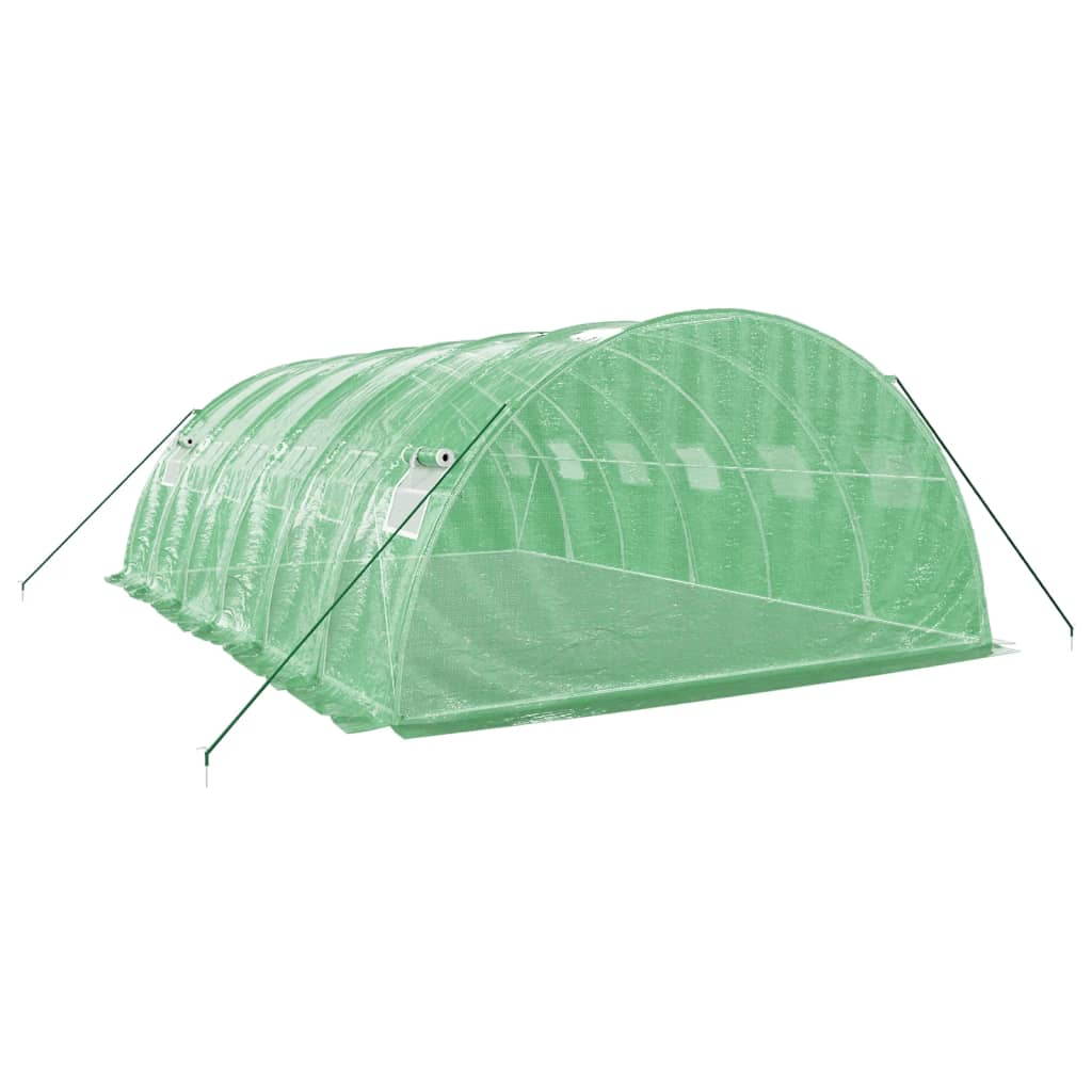 vidaXL Greenhouse with Steel Frame Green 24 m² 6x4x2 m