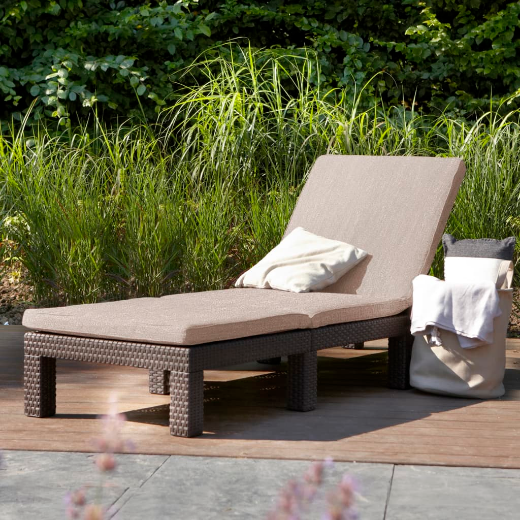 Keter Sunlounger with Cushion Daytona Brown - Comfortable Outdoor Lounge Bed