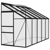 vidaXL Greenhouse Anthracite Aluminium 6.23 m³ - Protect and Nurture Your Plants