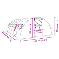 vidaXL Greenhouse with Steel Frame Green 24 m² 6x4x2 m